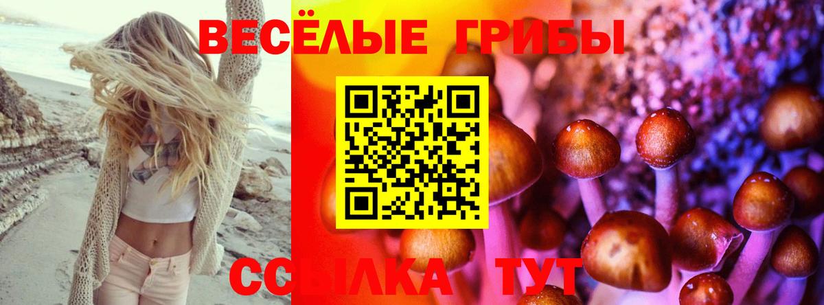 Маркс  Псилоцибиновые грибы мухоморы  Вход с VPN 