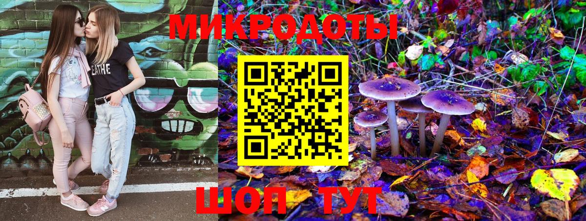 Псилоцибиновые грибы GOLDEN TEACHER Маркс